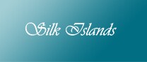 TVSN_BIGBRAND_202408