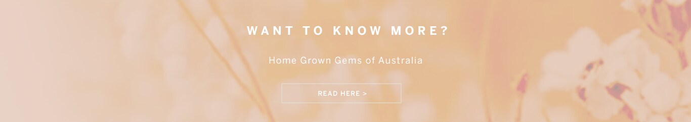Want to know more