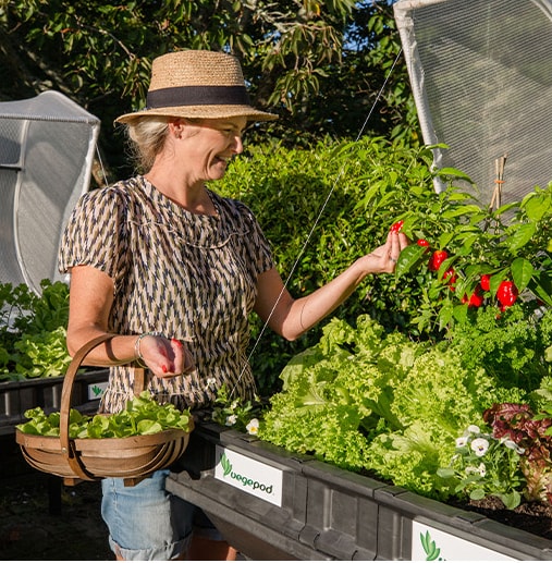 TVSN_HOMEOUTDOOR_202410