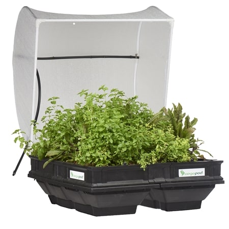 Vegepod Medium Pod with Cover