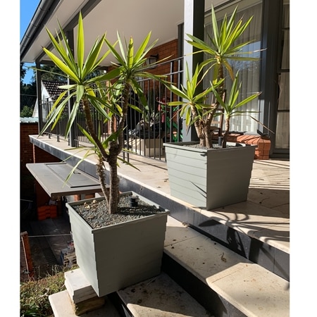 WaterUps Self Watering Square Planter Duo