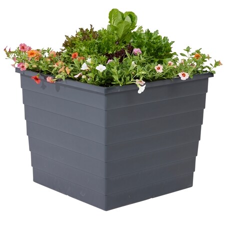 WaterUps Self Watering Square Planter