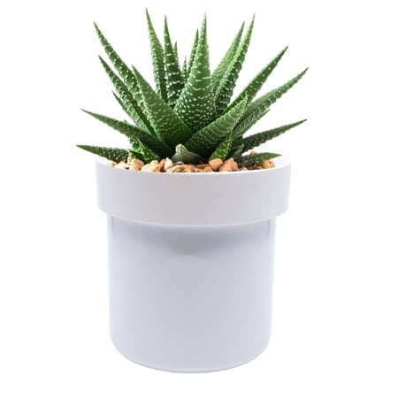 Flipo Secret Safe Flower Pot with Key Lock