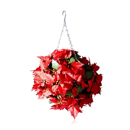 Poinsettia Hanging Topiary Ball with LED Lights 26cm