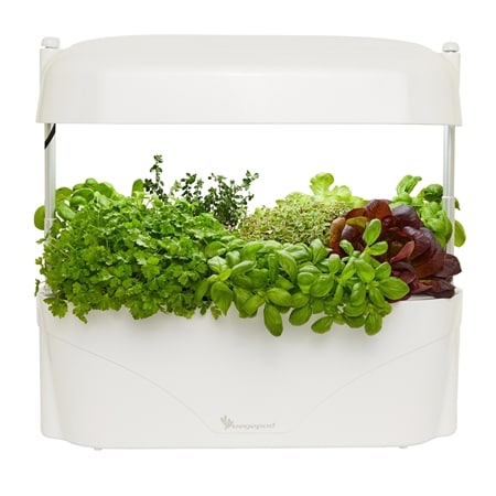 Vegepod Kitchen Garden