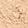 Medium Beige