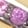 Pink Sapphire