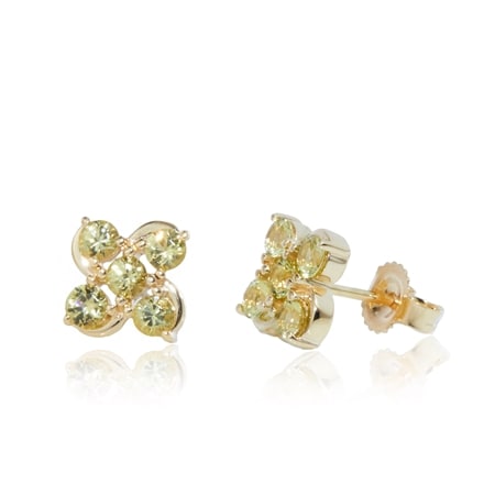 0.49ct Jepara Pallavine Cluster Stud Earrings 9ct Yellow Gold