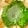 Chrome Diopside