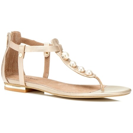 diana ferrari slides