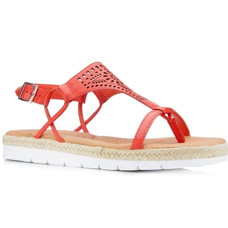 scholl shoes tvsn