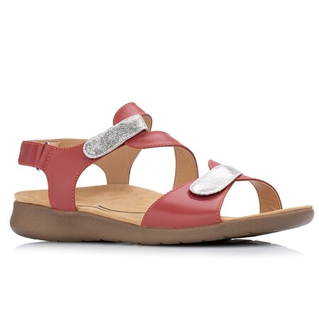 scholl shoes tvsn