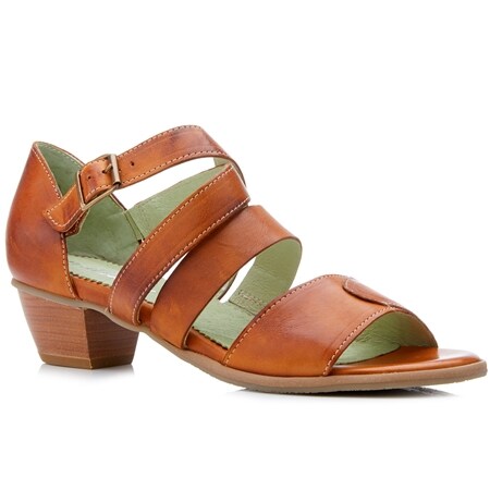 scholl shoes tvsn