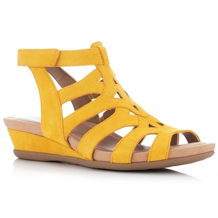 scholl shoes tvsn