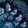 Blue Zone
