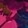 Pink Multi