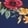 Navy Floral
