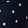 Navy Spot