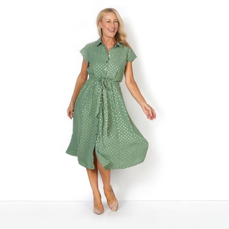 Hailey Lyn Collared Cap Sleeve Button Front Fit and Flare Dress