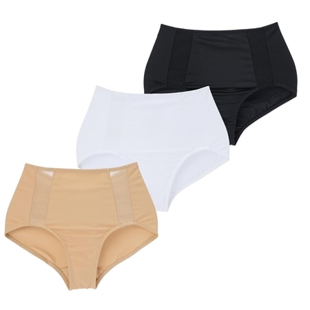Rhonda Shear Mesh Insert Brief 3 Pack