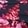 Navy/Pink Floral