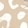 Gold Leopard Multi