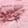 Pink Multi