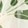 Green Print