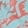Coral Print