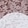 Spot