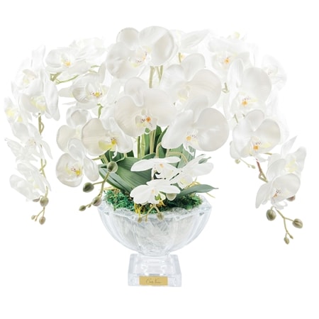 Cote Noire Luxury Centerpiece Ivory Orchid 60cm