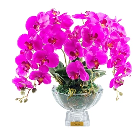 Cote Noire Tall White Orchids in Centrepiece Vase
